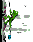 avatar de rob&amp;cel