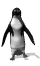 avatar de cedric